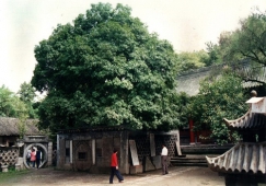 廣州到漢中物流專(zhuān)線，廣州到漢中貨運(yùn)公司