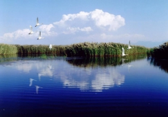 廣州到巴彥淖爾物流專線，廣州到巴彥淖爾運(yùn)輸公司