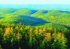 廣州到大興安嶺物流專線，廣州至大興安嶺貨運(yùn)公司