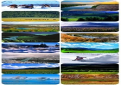 廣州到阿勒泰物流專線，廣州到新疆阿勒泰貨運價格