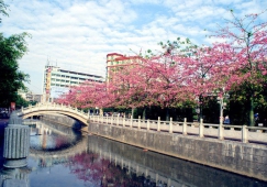 廣州到遂溪物流專線，廣州到遂溪貨運(yùn)公司