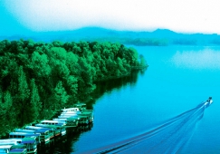 廣州到信陽物流專線，廣州到信陽貨運公司，物流運輸電話