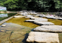 東莞到衢州物流專線|東莞到衢州貨運(yùn)公司