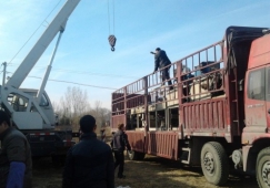 廣州天河到益陽物流專線-天河到益陽貨運公司